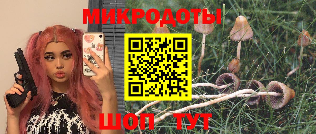 Галлюциногенные грибы Psilocybe  Вход с VPN  Шатура 